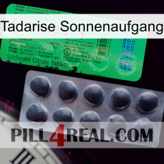 Tadarise Sunrise new04